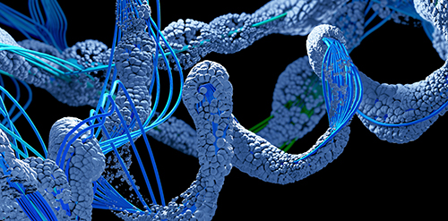 Oxidative DNA/RNA Damage Assay